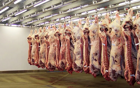 食品肉产品深加工企业